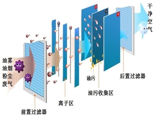 图片7